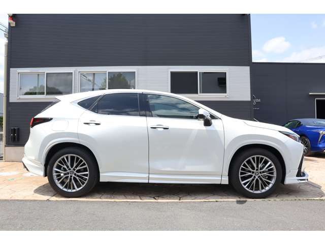 LEXUS NX450h+ AWD