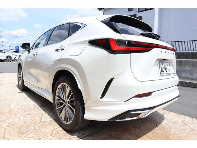 LEXUS NX450h+ AWD