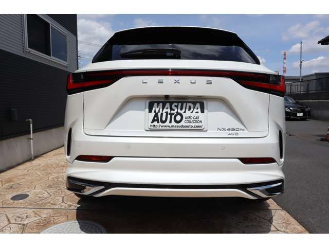 LEXUS NX450h+ AWD