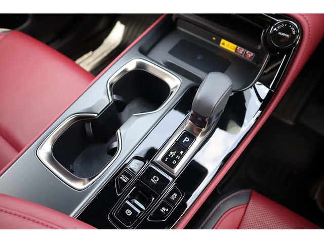 LEXUS NX450h+ AWD