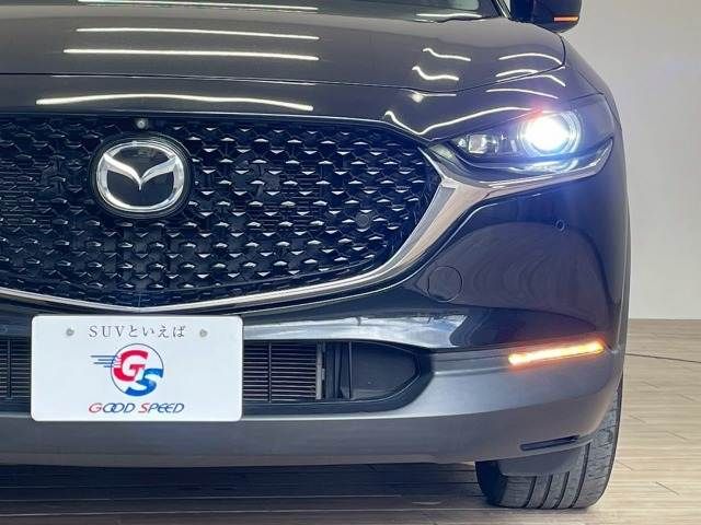 CX-30