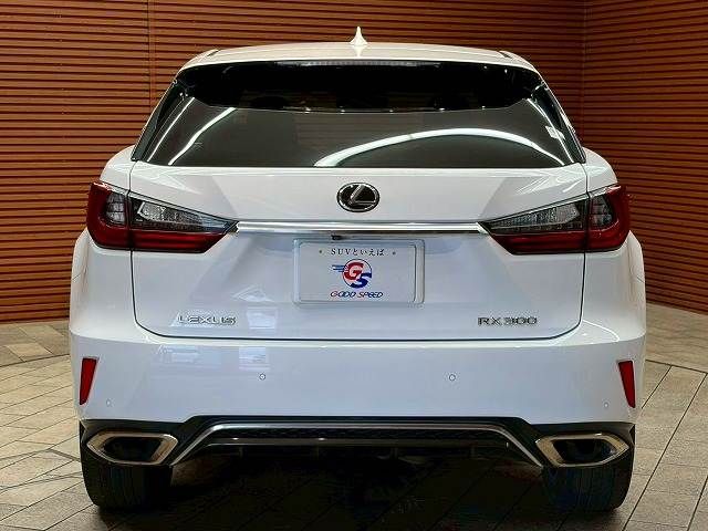 LEXUS RX300