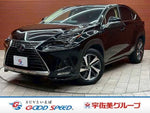 LEXUS NX300h