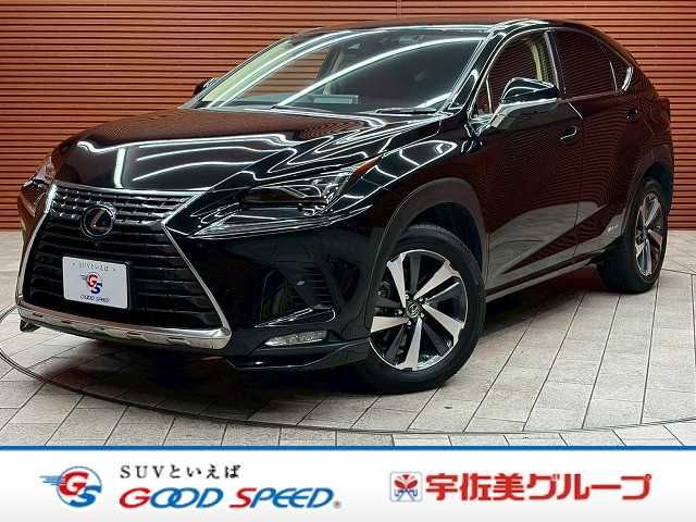 LEXUS NX300h