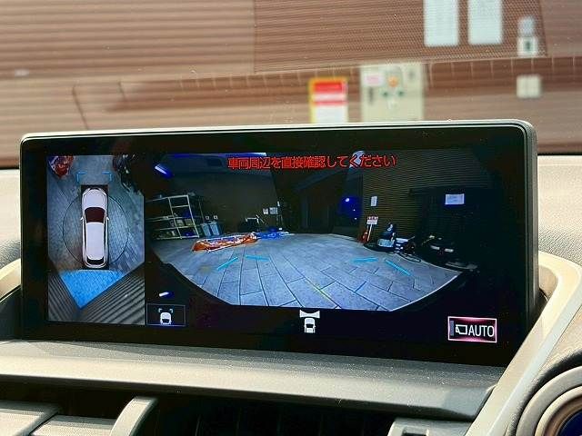 LEXUS NX300h