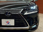 LEXUS NX300h
