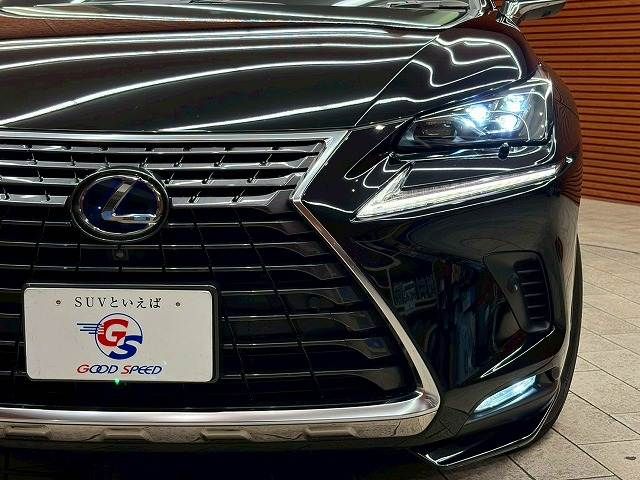 LEXUS NX300h