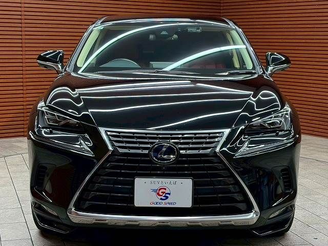 LEXUS NX300h