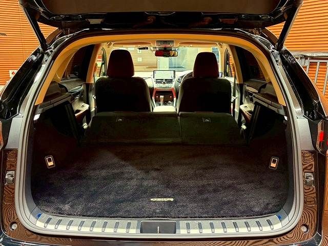 LEXUS NX300h