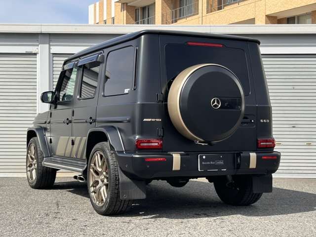 MERCEDES AMG G class
