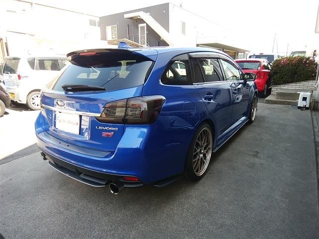 LEVORG