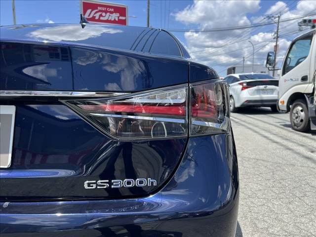 LEXUS GS300h