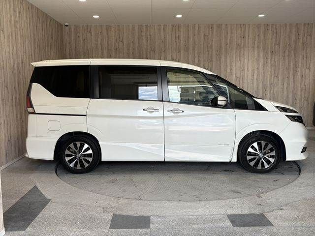 SERENA  S-HYBRID