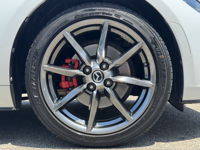 ROADSTER RF