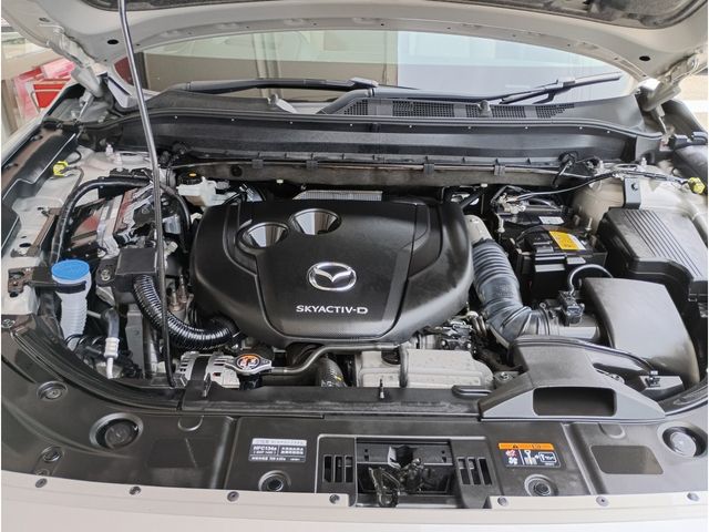 CX-8