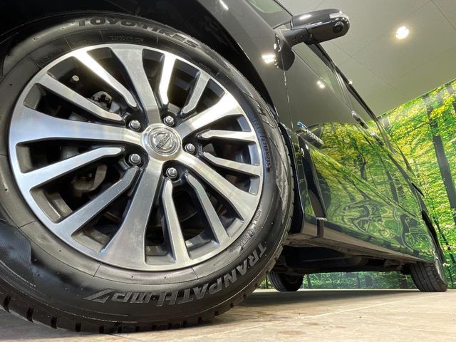 SERENA  S-HYBRID