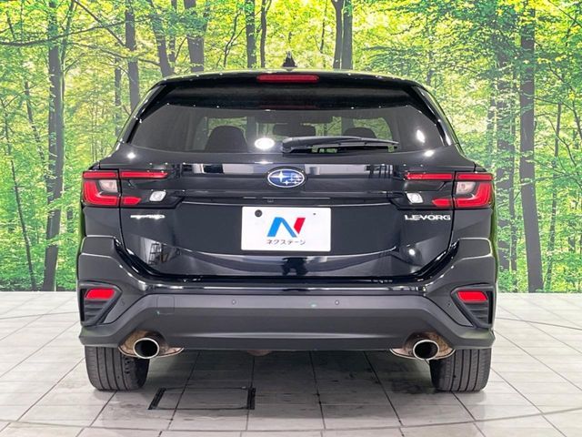 LEVORG