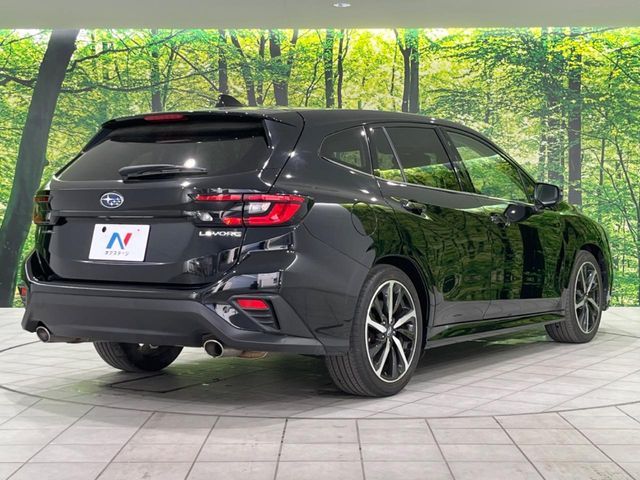 LEVORG