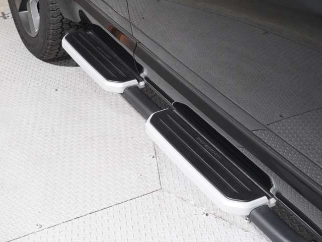 ROVER DEFENDER