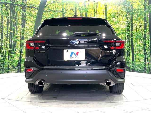 LEVORG