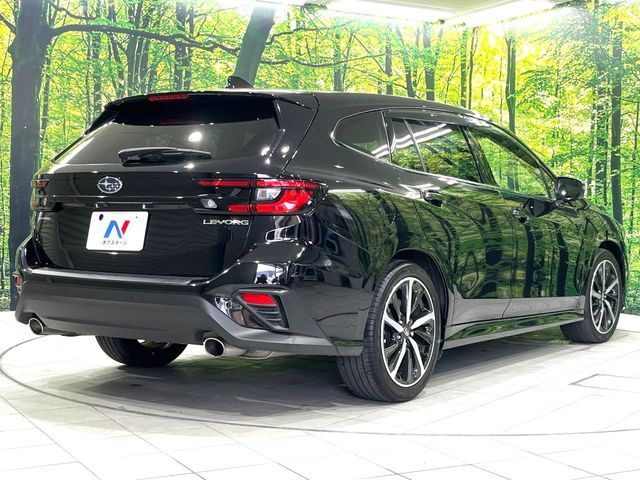 LEVORG