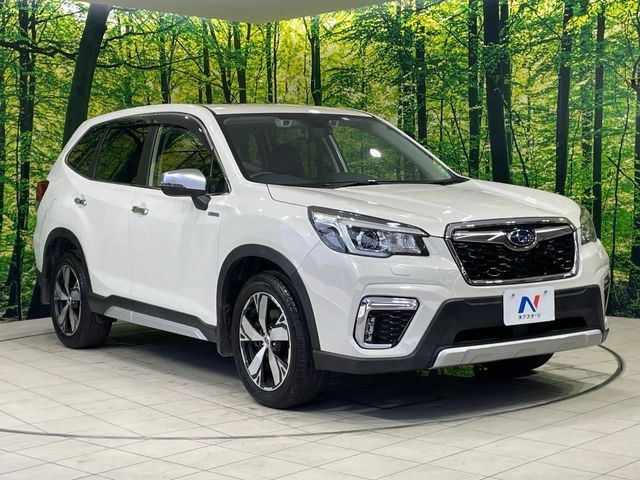 FORESTER