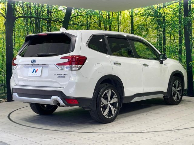 FORESTER