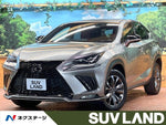 LEXUS NX300