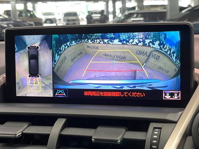 LEXUS NX300