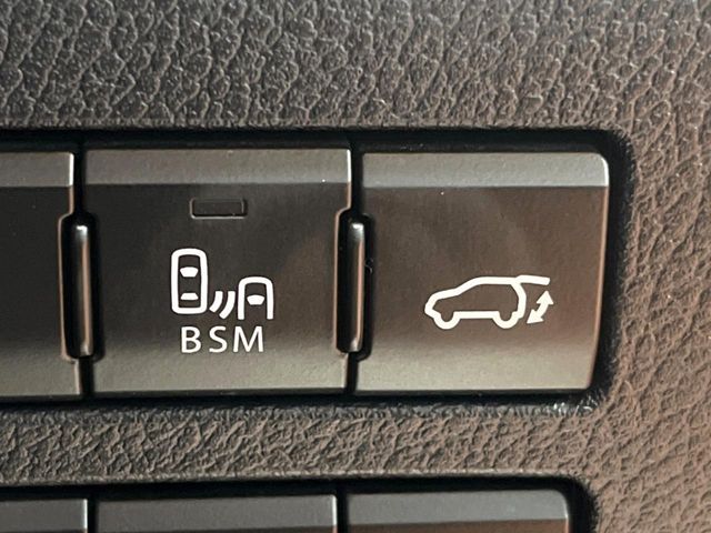 LEXUS NX300