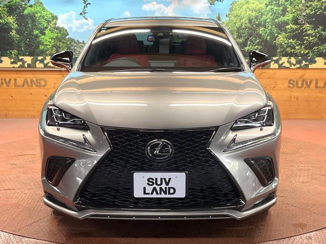LEXUS NX300