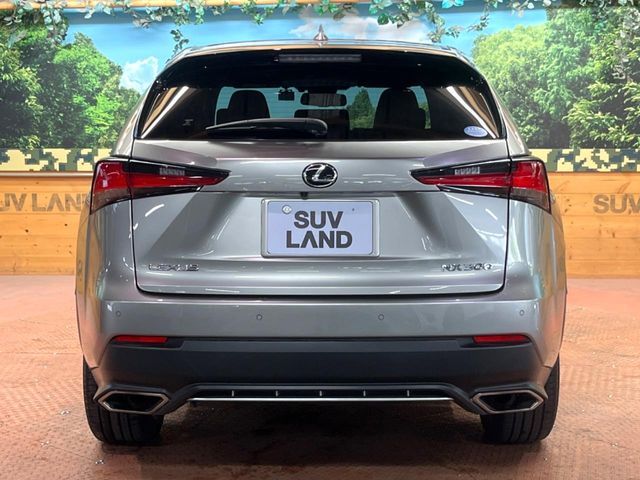 LEXUS NX300