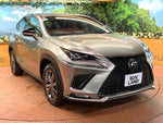 LEXUS NX300