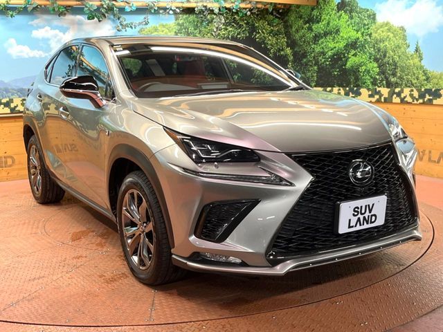 LEXUS NX300