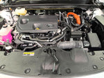 CROWN SPORT