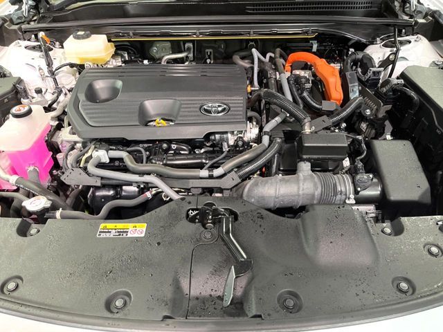 CROWN SPORT