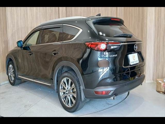 CX-8