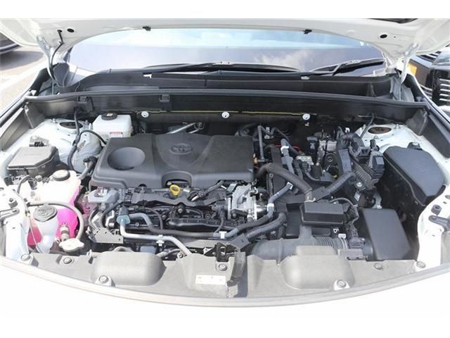 HARRIER HYBRID