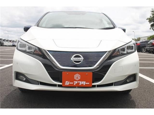 LEAF