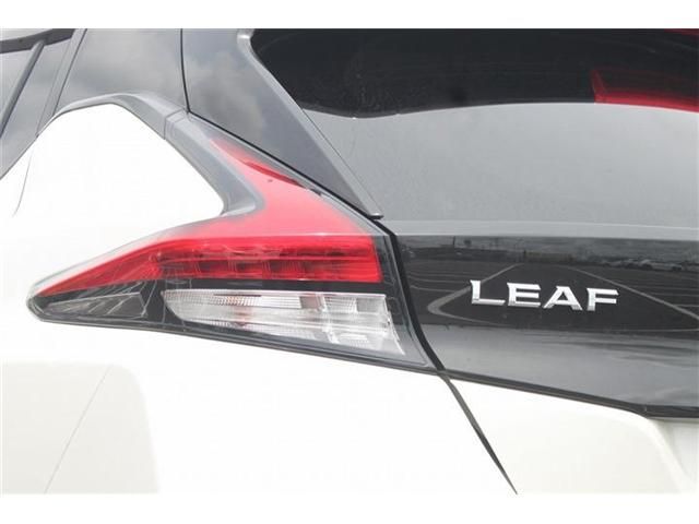 LEAF