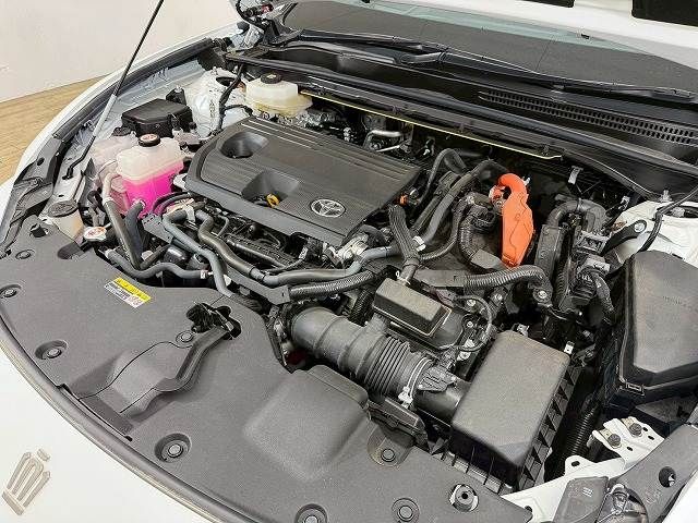 CROWN SPORT