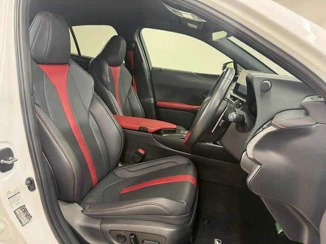 LEXUS UX250h