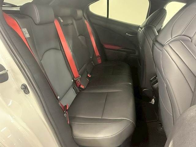 LEXUS UX250h