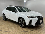 LEXUS UX250h