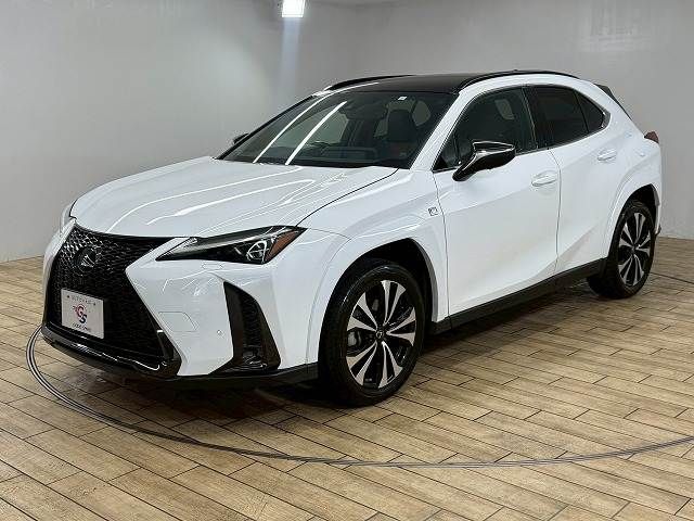LEXUS UX250h
