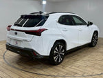 LEXUS UX250h