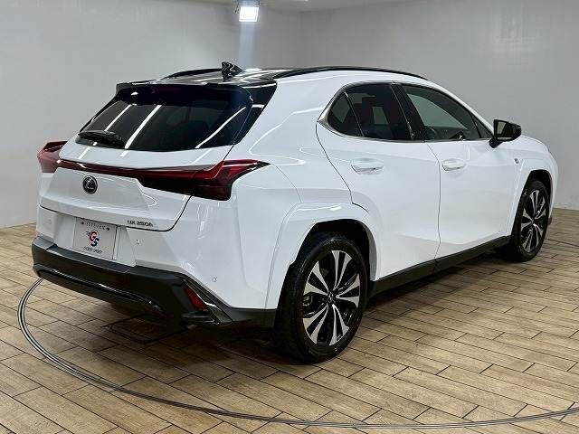 LEXUS UX250h