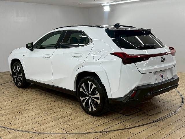 LEXUS UX250h