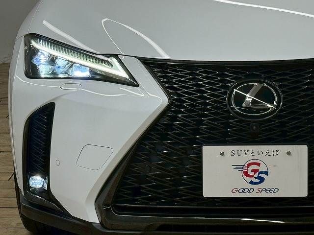LEXUS UX250h
