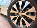 SERENA  S-HYBRID